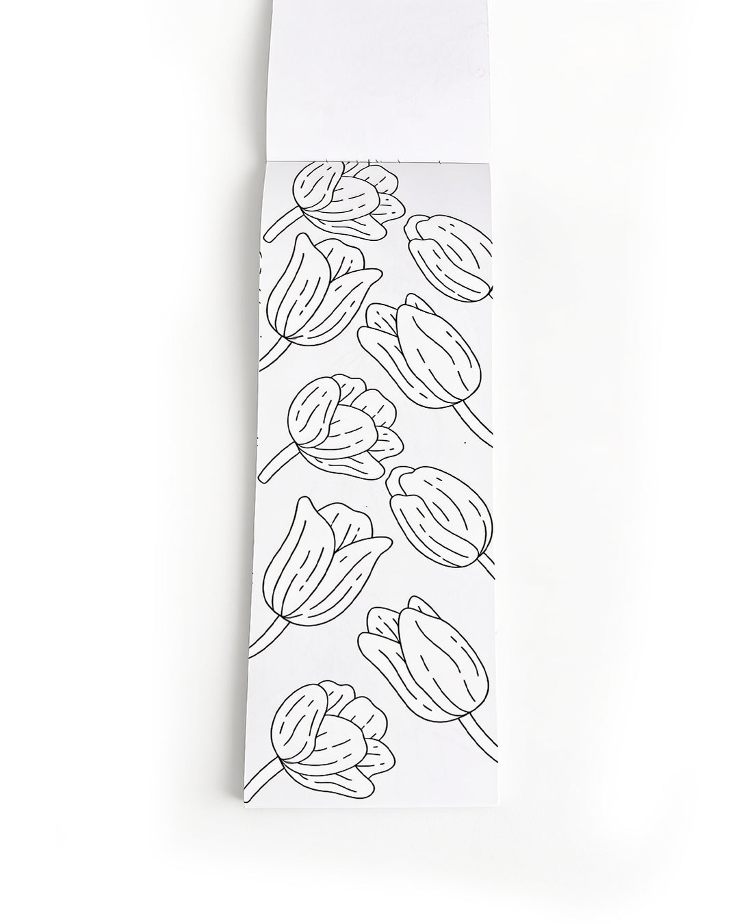 Plants & Blooms - Coloring Book