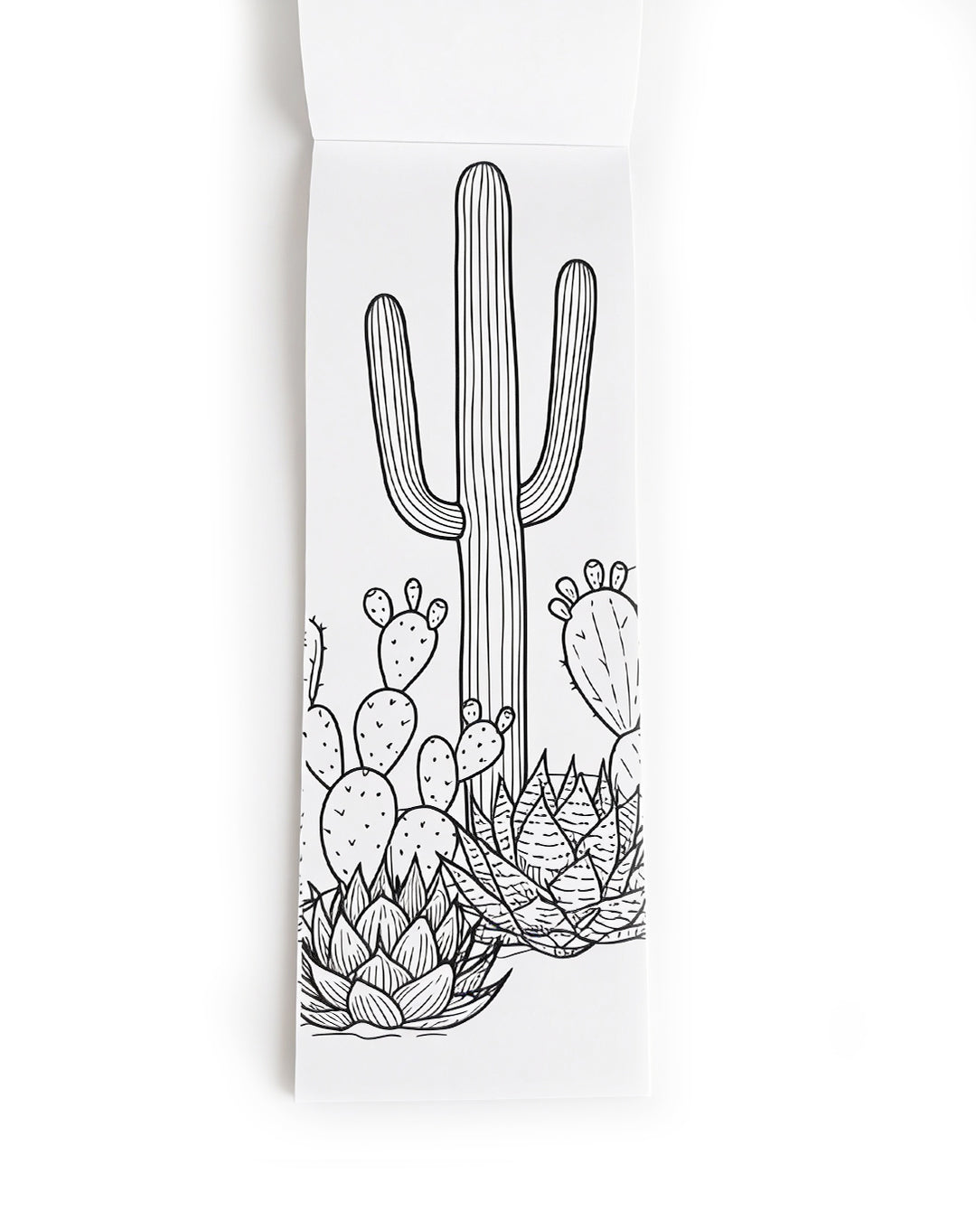Plants & Blooms - Coloring Book