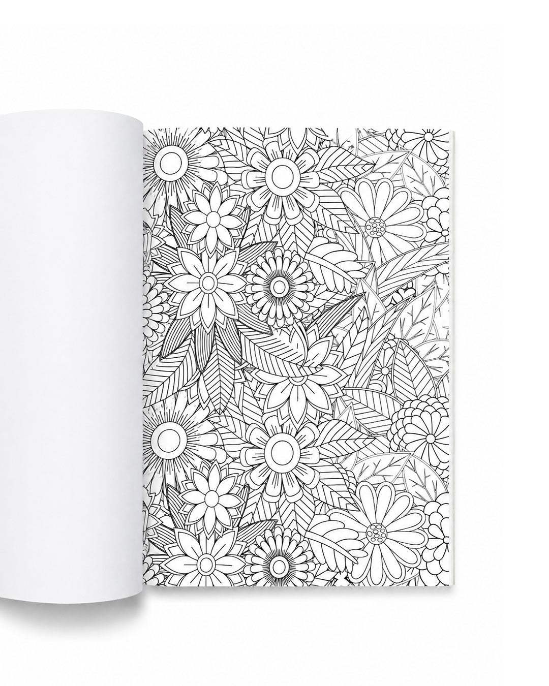 Cool Plants - A4 Coloring Book