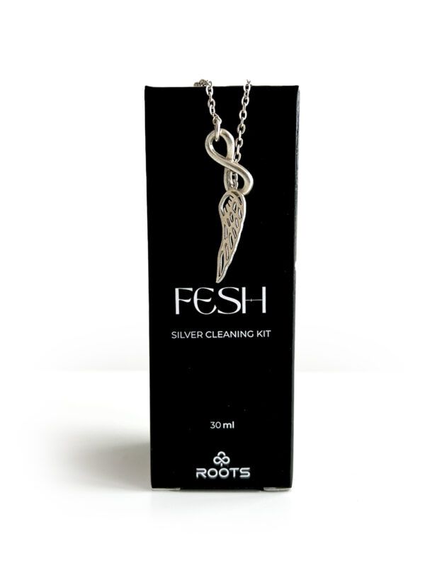 FESH - Silver Cleaning Kit