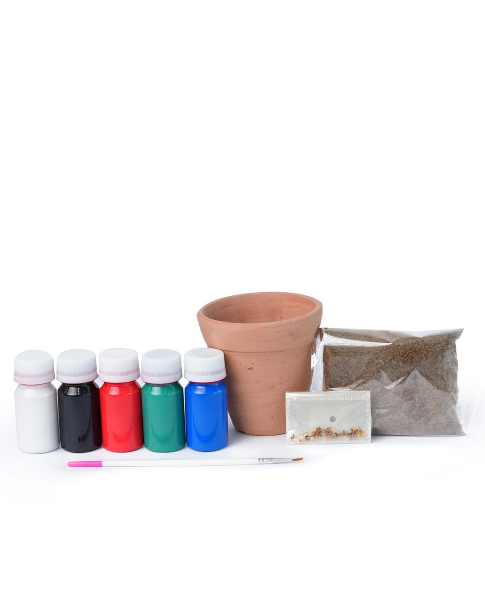 Root & Bloom - Coloring Candy - Image 3